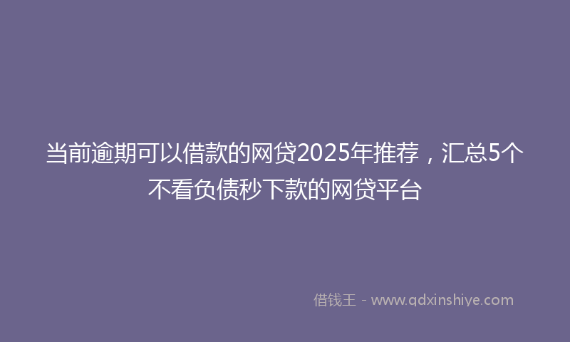 当前逾期可以借款的网贷2025年推荐，汇总5个不看负债秒下款的网贷平台