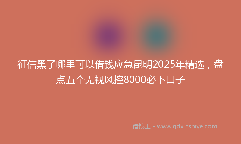 征信黑了哪里可以借钱应急昆明2025年精选，盘点五个无视风控8000必下口子