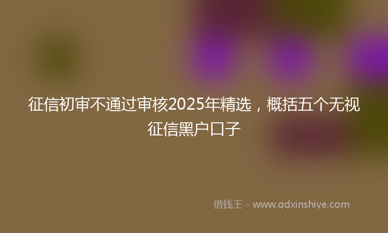征信初审不通过审核2025年精选，概括五个无视征信黑户口子