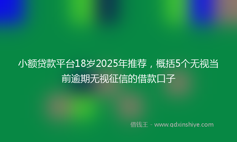 小额贷款平台18岁2025年推荐，概括5个无视当前逾期无视征信的借款口子