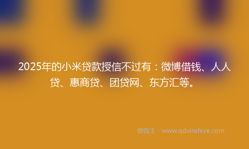 2025年的小米贷款授信不过有：微博借钱、人人贷、惠商贷、团贷网、东方汇等。