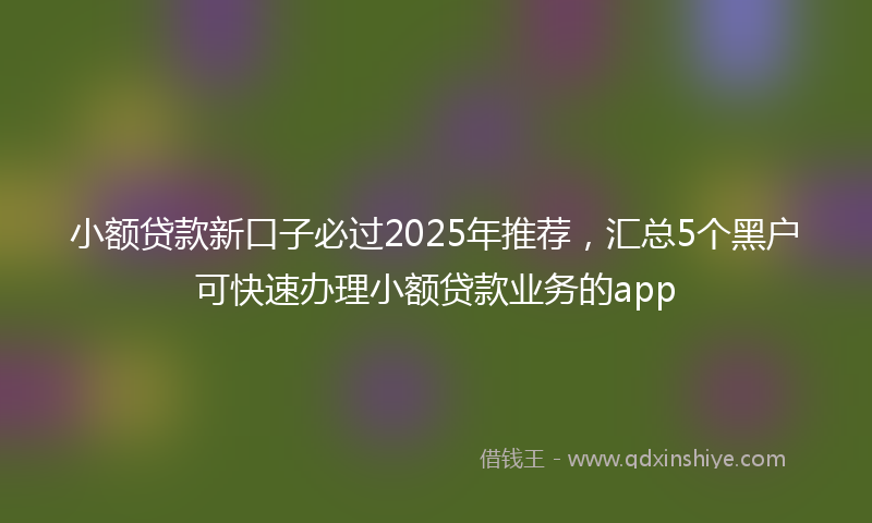 小额贷款新口子必过2025年推荐，汇总5个黑户可快速办理小额贷款业务的app