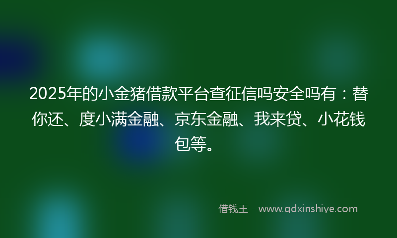 2025年的小金猪借款平台查征信吗安全吗有：替你还、度小满金融、京东金融、我来贷、小花钱包等。