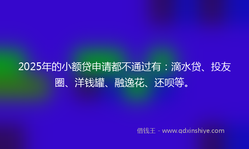 2025年的小额贷申请都不通过有：滴水贷、投友圈、洋钱罐、融逸花、还呗等。