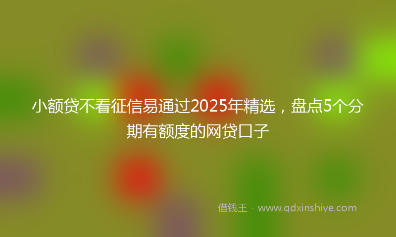 小额贷不看征信易通过2025年精选，盘点5个分期有额度的网贷口子