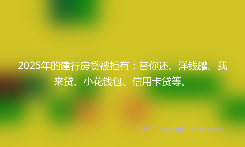 2025年的建行房贷被拒有：替你还、洋钱罐、我来贷、小花钱包、信用卡贷等。