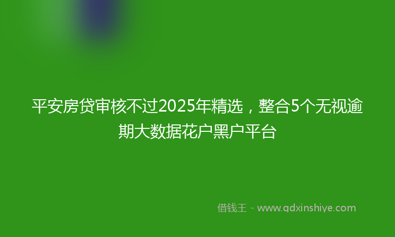平安房贷审核不过2025年精选，整合5个无视逾期大数据花户黑户平台
