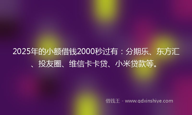 2025年的小额借钱2000秒过有：分期乐、东方汇、投友圈、维信卡卡贷、小米贷款等。