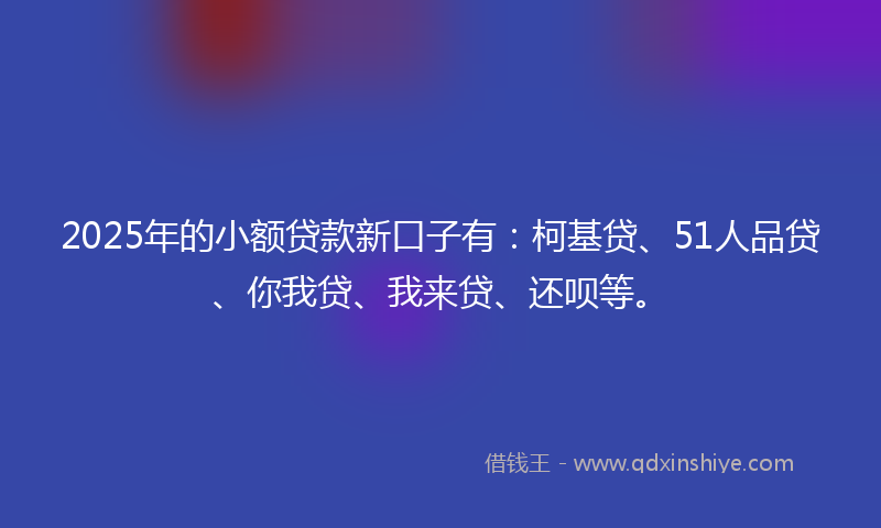 2025年的小额贷款新口子有：柯基贷、51人品贷、你我贷、我来贷、还呗等。
