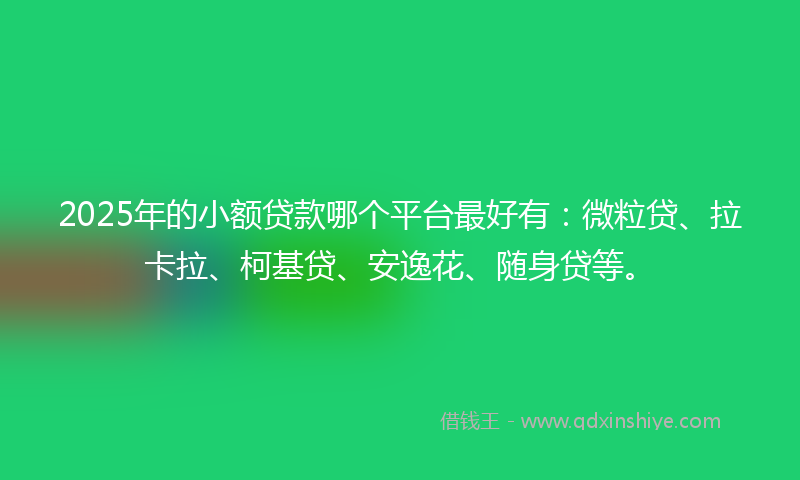 2025年的小额贷款哪个平台最好有：微粒贷、拉卡拉、柯基贷、安逸花、随身贷等。