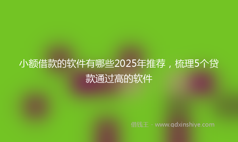 小额借款的软件有哪些2025年推荐，梳理5个贷款通过高的软件