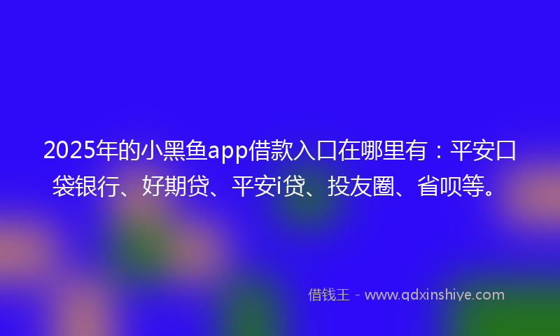 2025年的小黑鱼app借款入口在哪里有：平安口袋银行、好期贷、平安i贷、投友圈、省呗等。