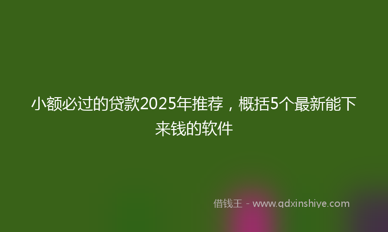 小额必过的贷款2025年推荐，概括5个最新能下来钱的软件
