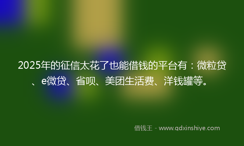 2025年的征信太花了也能借钱的平台有：微粒贷、e微贷、省呗、美团生活费、洋钱罐等。