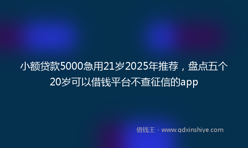 小额贷款5000急用21岁2025年推荐，盘点五个20岁可以借钱平台不查征信的app