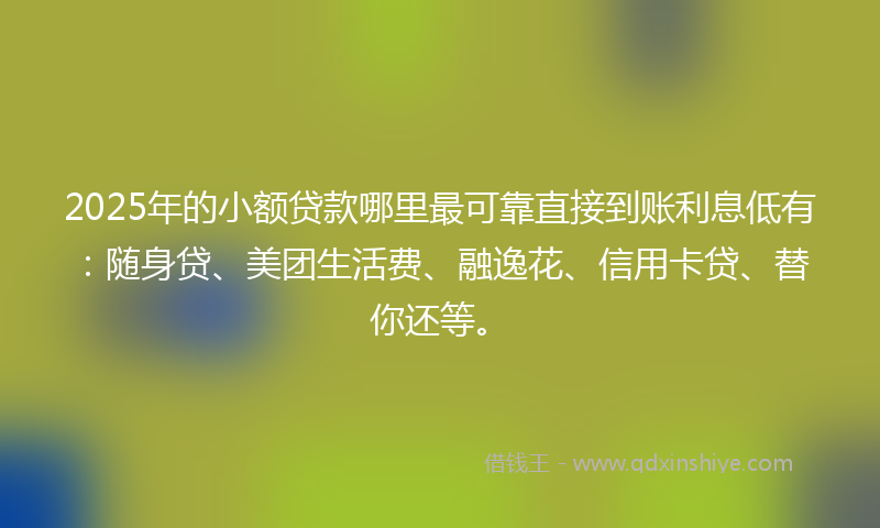 2025年的小额贷款哪里最可靠直接到账利息低有：随身贷、美团生活费、融逸花、信用卡贷、替你还等。