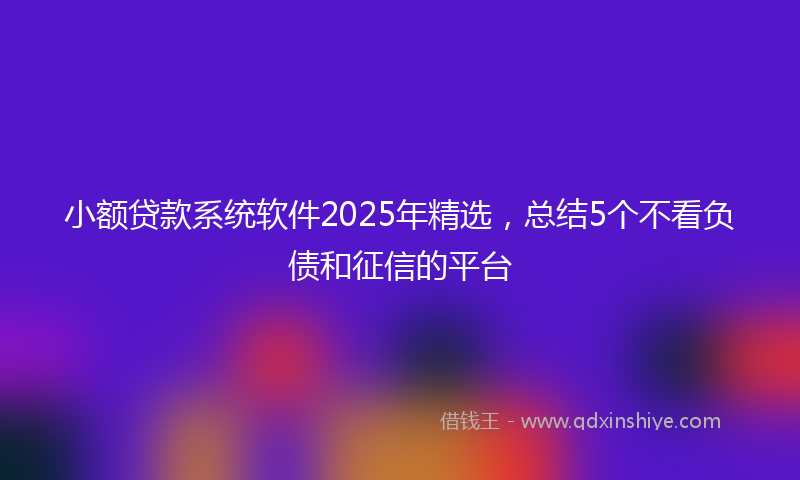 小额贷款系统软件2025年精选，总结5个不看负债和征信的平台