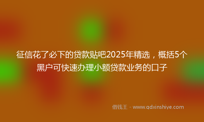 征信花了必下的贷款贴吧2025年精选，概括5个黑户可快速办理小额贷款业务的口子