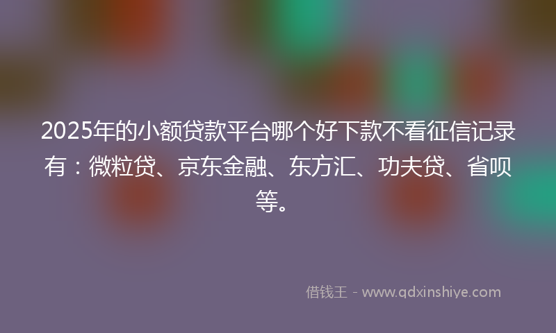 2025年的小额贷款平台哪个好下款不看征信记录有：微粒贷、京东金融、东方汇、功夫贷、省呗等。