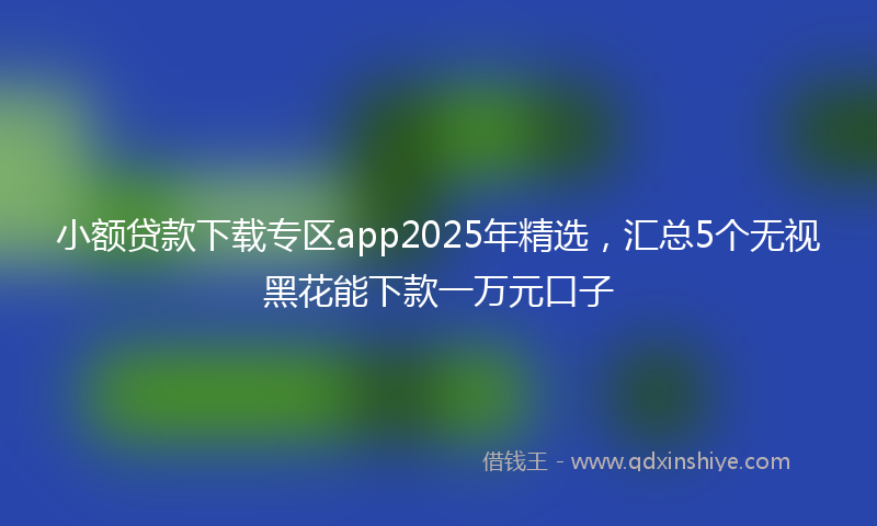 小额贷款下载专区app2025年精选，汇总5个无视黑花能下款一万元口子