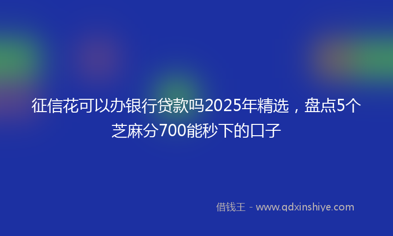 征信花可以办银行贷款吗2025年精选，盘点5个芝麻分700能秒下的口子