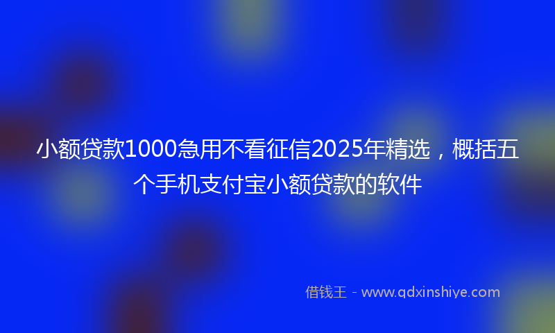 小额贷款1000急用不看征信2025年精选，概括五个手机支付宝小额贷款的软件
