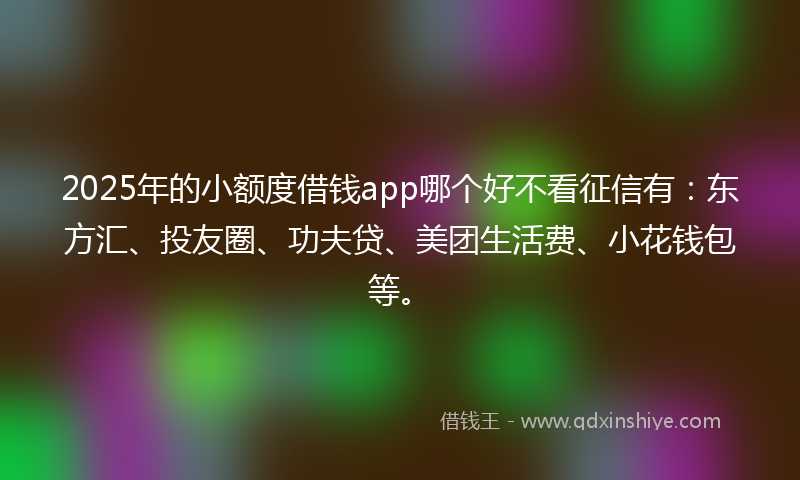 2025年的小额度借钱app哪个好不看征信有：东方汇、投友圈、功夫贷、美团生活费、小花钱包等。