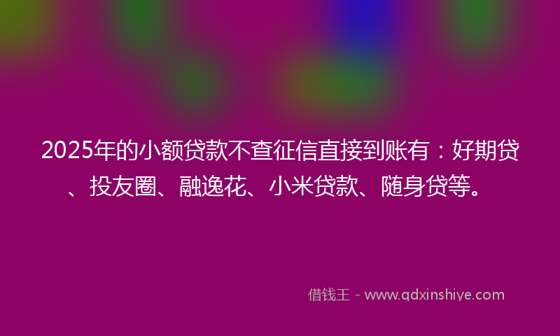 2025年的小额贷款不查征信直接到账有：好期贷、投友圈、融逸花、小米贷款、随身贷等。