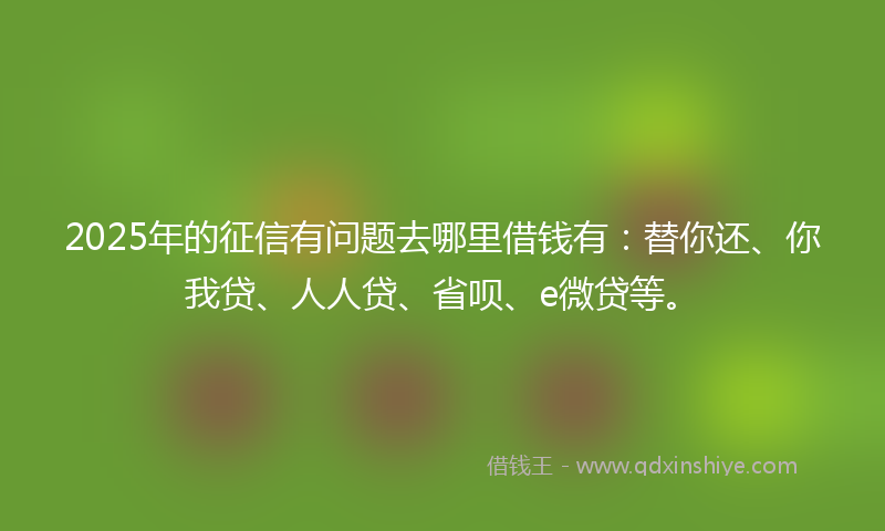 2025年的征信有问题去哪里借钱有：替你还、你我贷、人人贷、省呗、e微贷等。