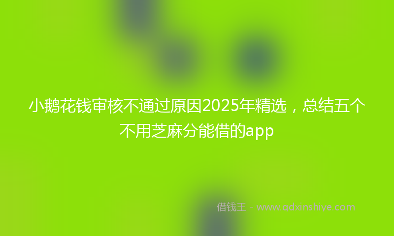 小鹅花钱审核不通过原因2025年精选，总结五个不用芝麻分能借的app
