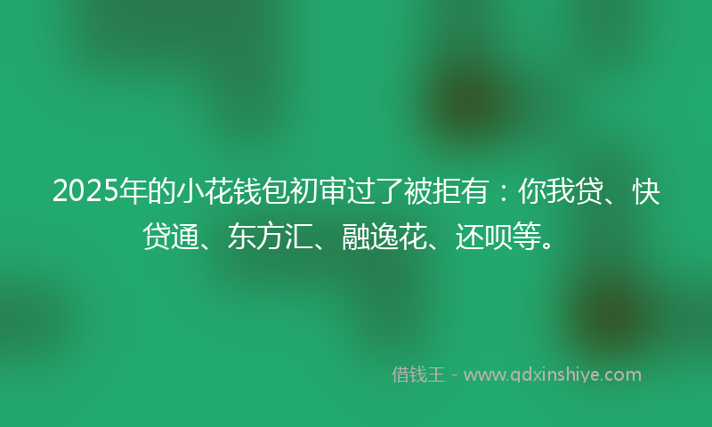 2025年的小花钱包初审过了被拒有：你我贷、快贷通、东方汇、融逸花、还呗等。