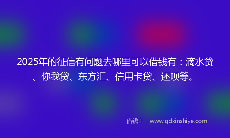2025年的征信有问题去哪里可以借钱有：滴水贷、你我贷、东方汇、信用卡贷、还呗等。