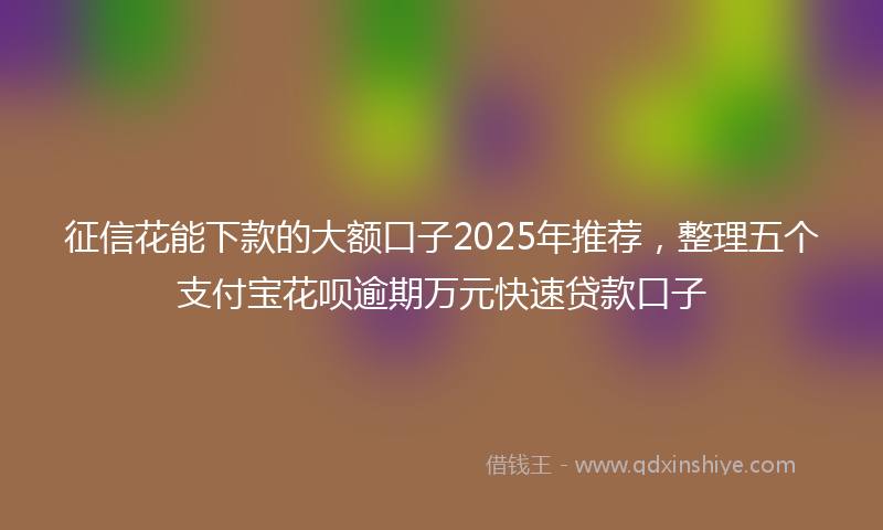 征信花能下款的大额口子2025年推荐，整理五个支付宝花呗逾期万元快速贷款口子