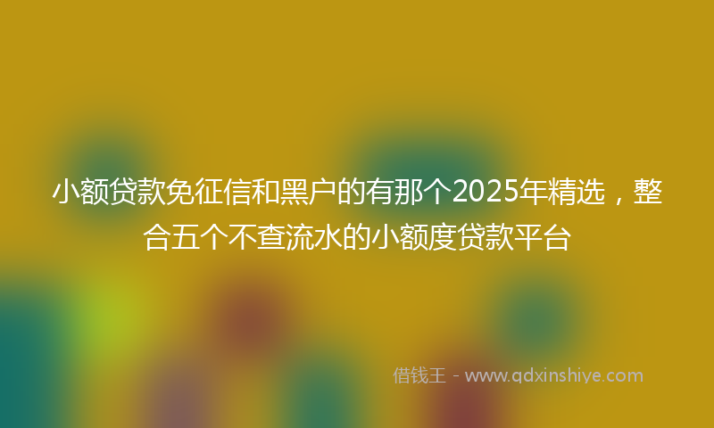 小额贷款免征信和黑户的有那个2025年精选，整合五个不查流水的小额度贷款平台