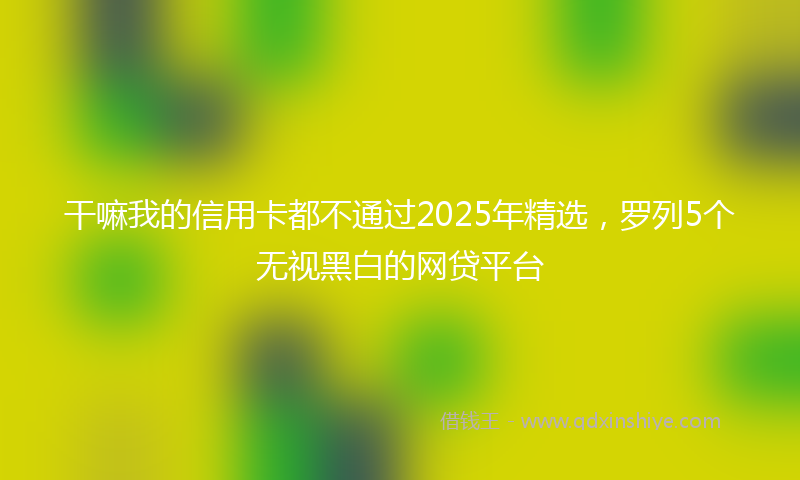 干嘛我的信用卡都不通过2025年精选，罗列5个无视黑白的网贷平台