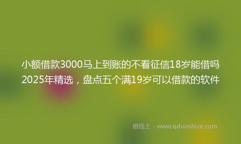 小额借款3000马上到账的不看征信18岁能借吗2025年精选，盘点五个满19岁可以借款的软件