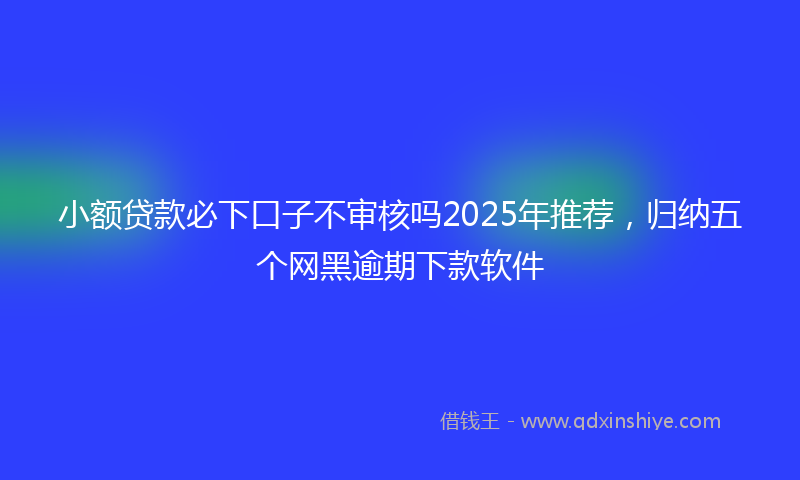 小额贷款必下口子不审核吗2025年推荐，归纳五个网黑逾期下款软件