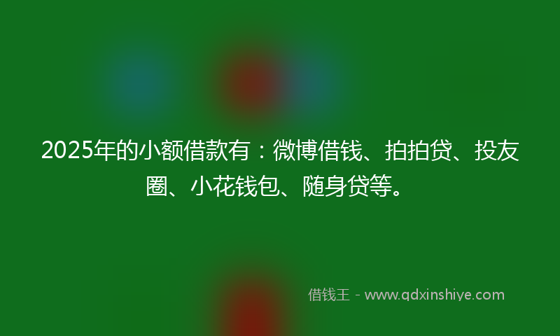 2025年的小额借款有：微博借钱、拍拍贷、投友圈、小花钱包、随身贷等。
