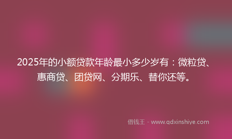 2025年的小额贷款年龄最小多少岁有：微粒贷、惠商贷、团贷网、分期乐、替你还等。