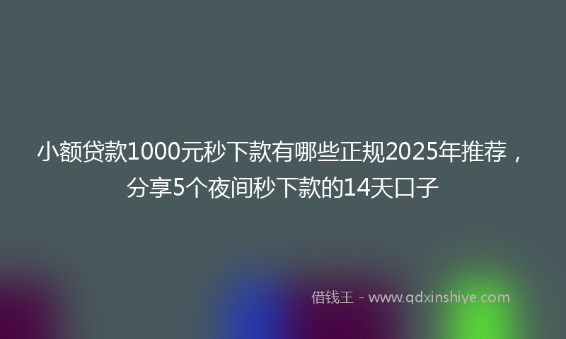 小额贷款1000元秒下款有哪些正规2025年推荐，分享5个夜间秒下款的14天口子