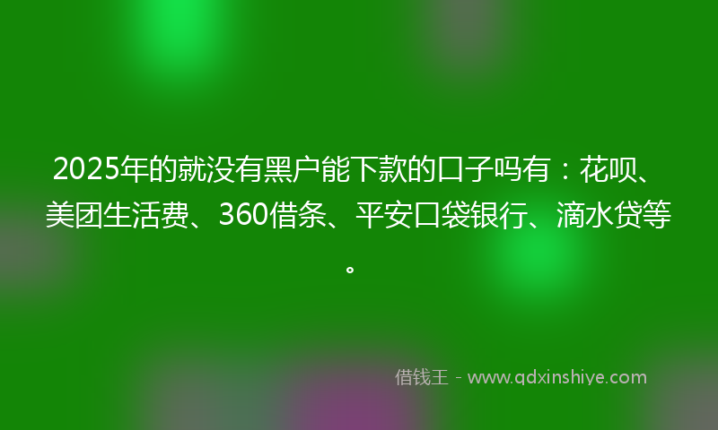 2025年的就没有黑户能下款的口子吗有：花呗、美团生活费、360借条、平安口袋银行、滴水贷等。