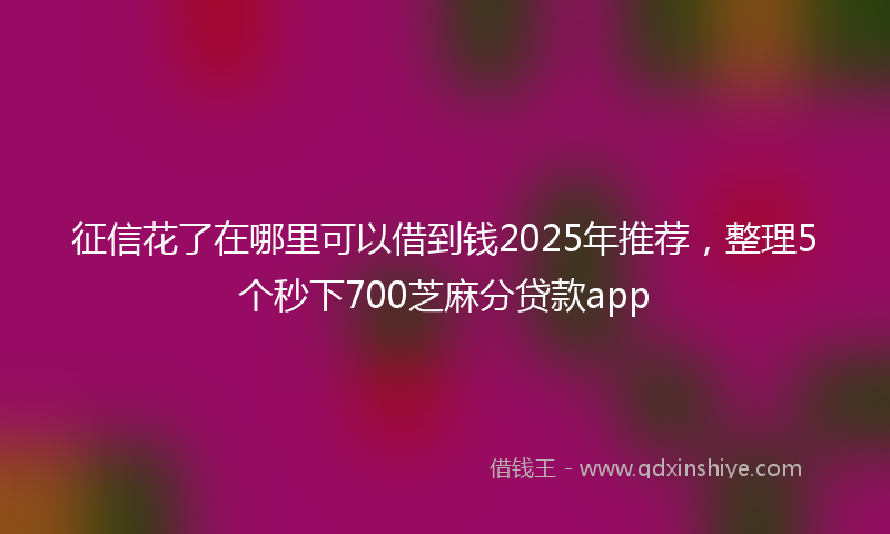 征信花了在哪里可以借到钱2025年推荐，整理5个秒下700芝麻分贷款app