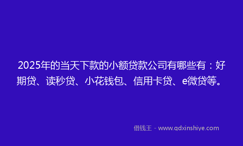 2025年的当天下款的小额贷款公司有哪些有：好期贷、读秒贷、小花钱包、信用卡贷、e微贷等。