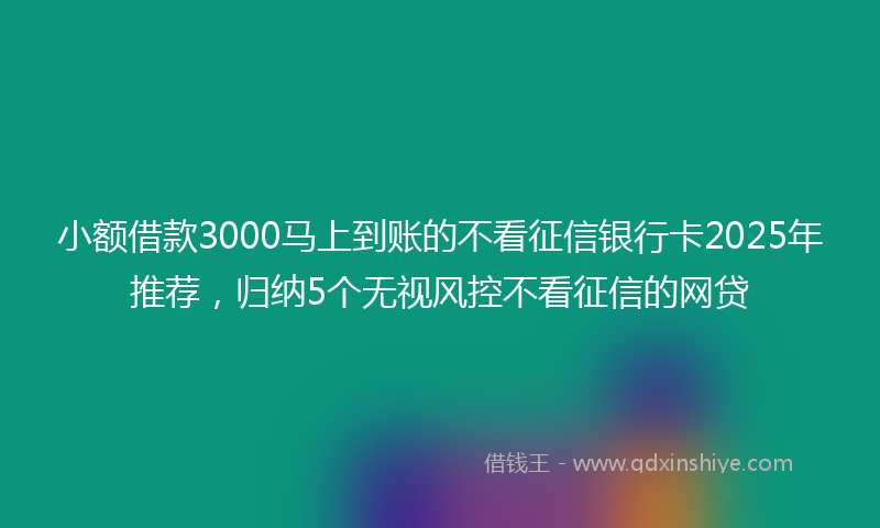 小额借款3000马上到账的不看征信银行卡2025年推荐，归纳5个无视风控不看征信的网贷