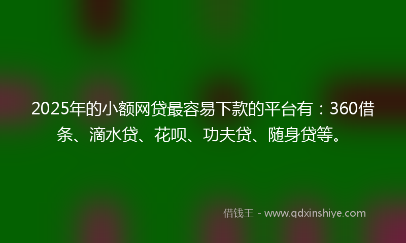 2025年的小额网贷最容易下款的平台有：360借条、滴水贷、花呗、功夫贷、随身贷等。
