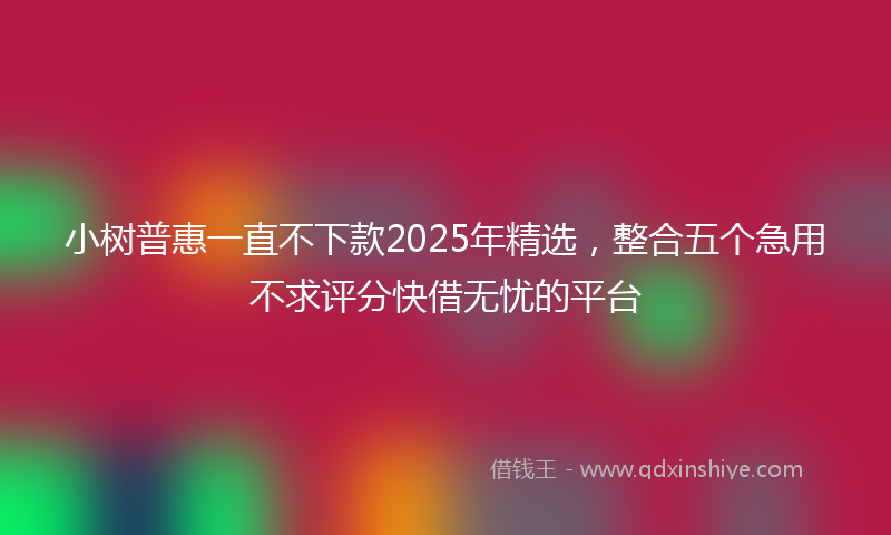 小树普惠一直不下款2025年精选，整合五个急用不求评分快借无忧的平台