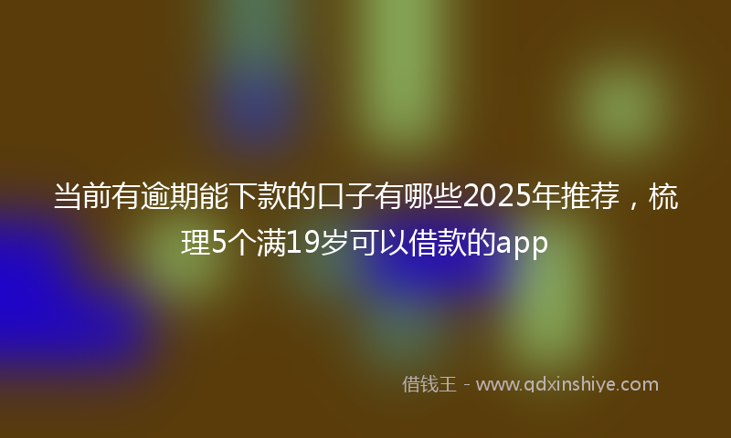 当前有逾期能下款的口子有哪些2025年推荐，梳理5个满19岁可以借款的app