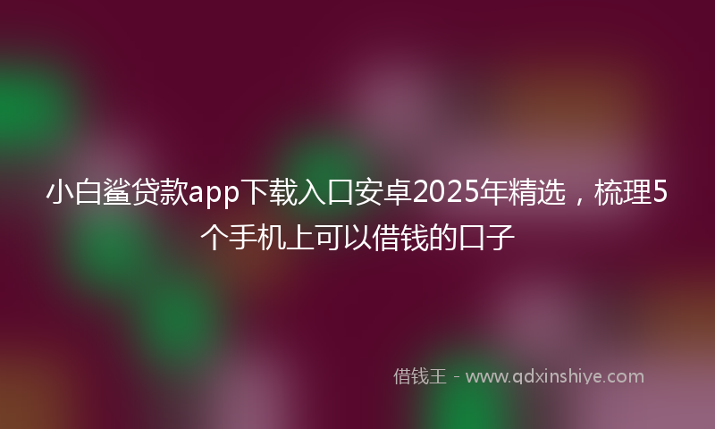小白鲨贷款app下载入口安卓2025年精选，梳理5个手机上可以借钱的口子