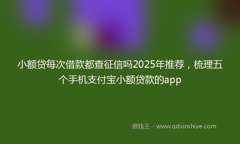 小额贷每次借款都查征信吗2025年推荐，梳理五个手机支付宝小额贷款的app
