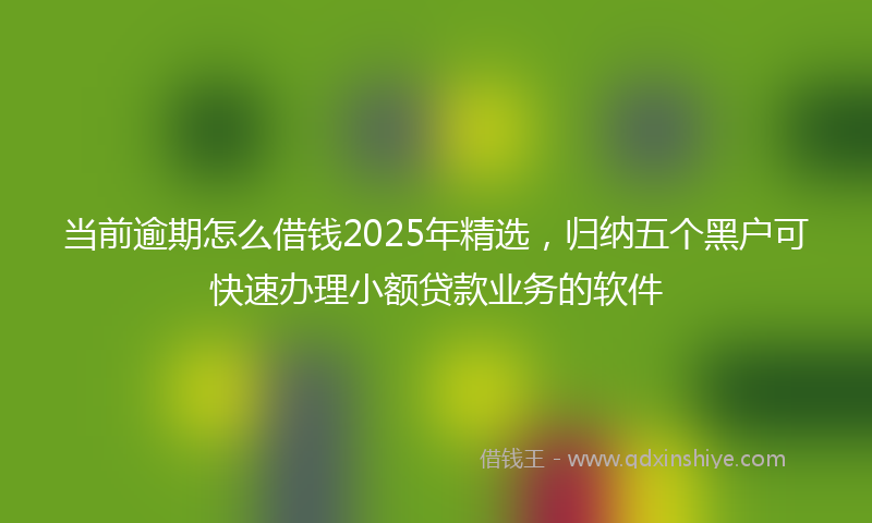 当前逾期怎么借钱2025年精选，归纳五个黑户可快速办理小额贷款业务的软件